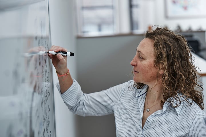 Visualize the “Elephant” with Live Sketching