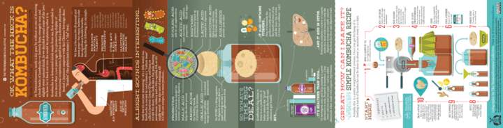Infographic: OK, so what the heck is kombucha?