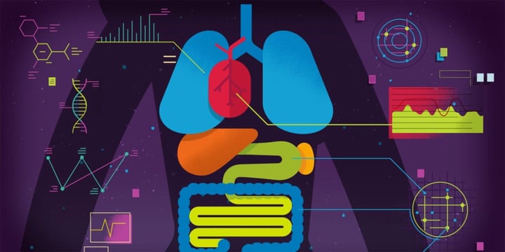 Three new case studies? Done.