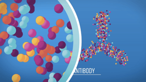 3D Illustration & Animation