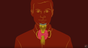 Realistic Illustration