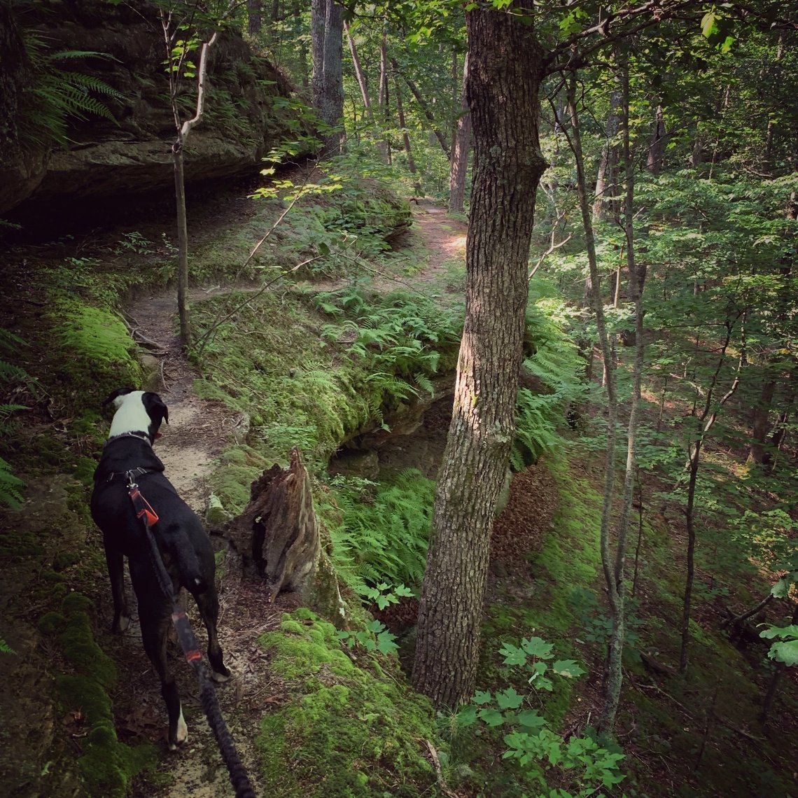 Hey St. Louis, take a hike!