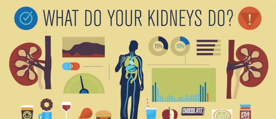tremendousness-kidney