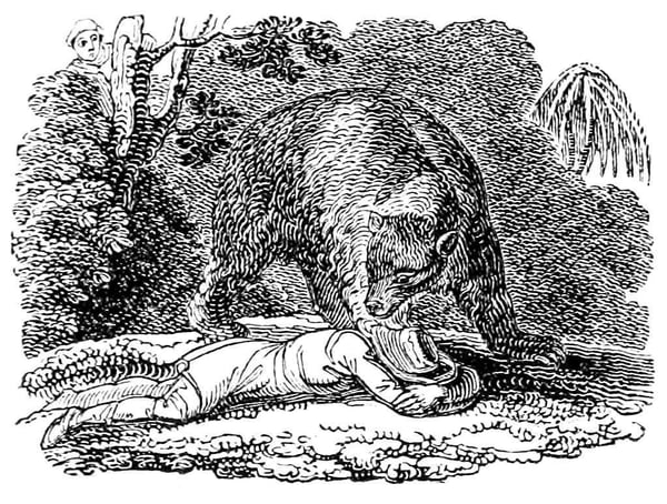 whittingham_travelers_and_bear